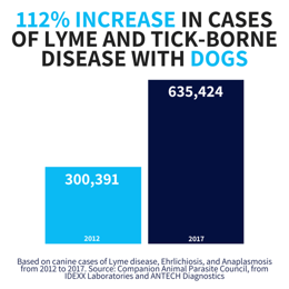 CASES-of-LYME-AND-TICK-BORNE-DISEASE-IN-DOGS-768x768