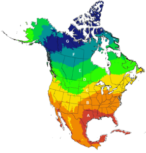 Regions used to assign birds to latitudinal bands in the Ogden et al. (2015) study. The results indicated that up to 70% of birds carrying ticks could bring them north of their capture locations (into bands C, D, and E), and up to 17% could transport ticks further into the boreal region of eastern Canada (bands D and E). This map shows how far north these ticks are being transported. Adapted from Cohen et al., 2016, Journal of Environmental Microbiology Vol. 3 page 322-350. 