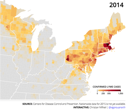 lyme disease northeast