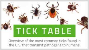 tick table
