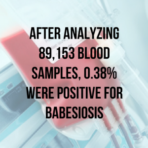 blog_blood-transfusions_babesia_quote