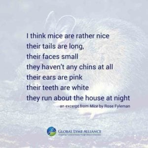 blog_mayla_white footed mouse_quote