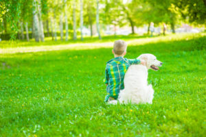 boy dog ticks grass