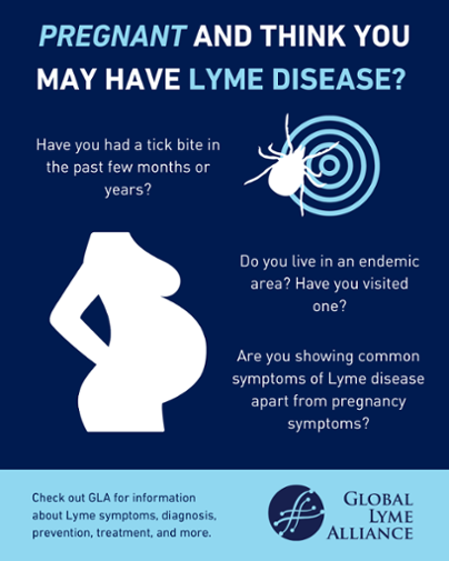 Lyme Disease During Pregnancy Infographic V5-1