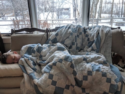 Lyme asleep on couch