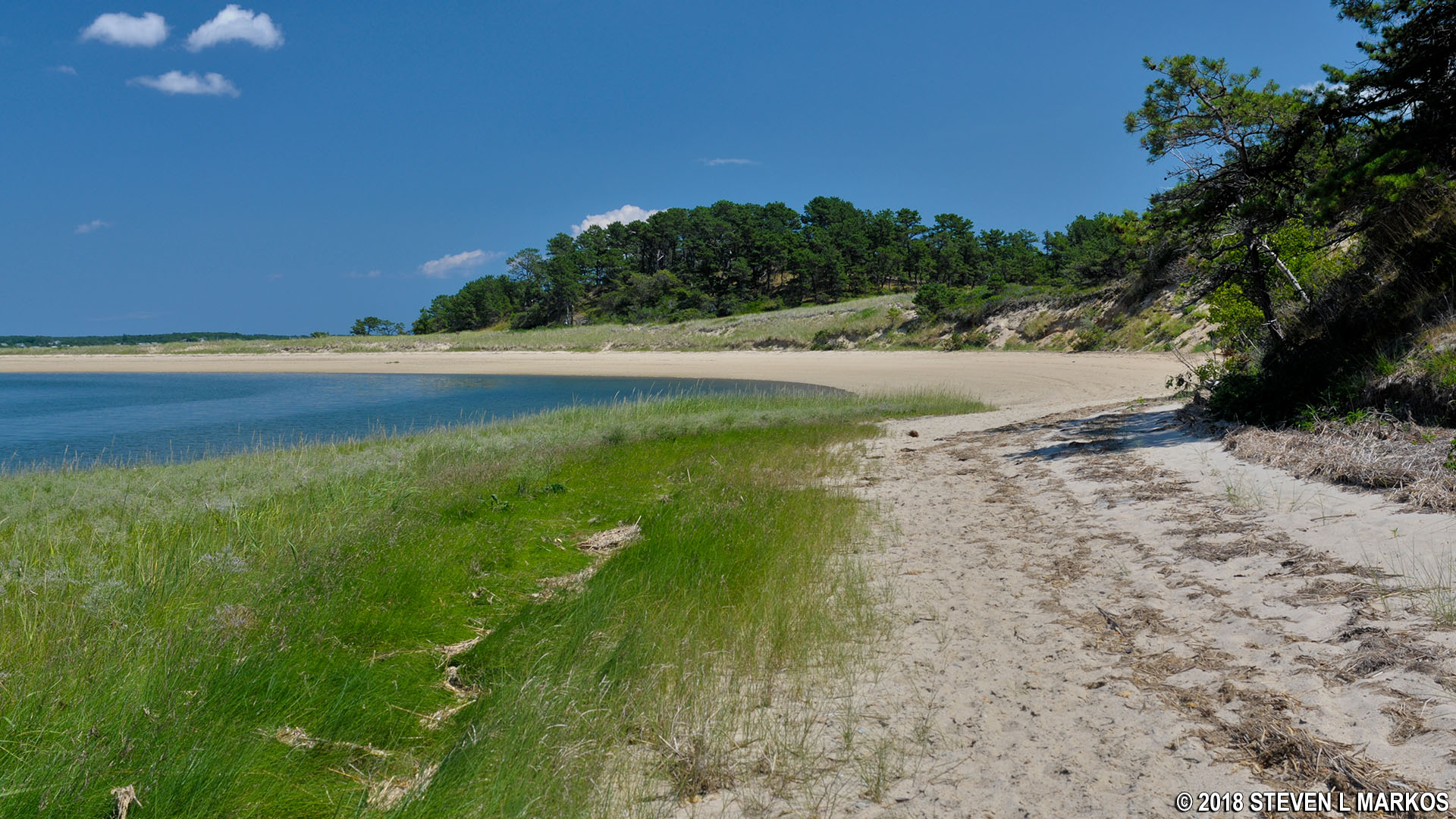 beach-great-island