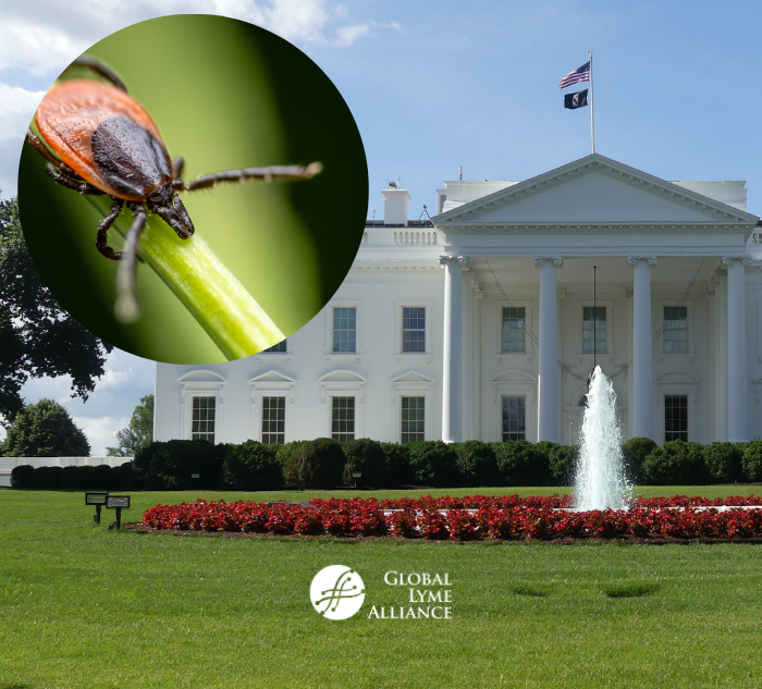 Kay Hagan Tick Act Reauthorized: What It Means for Lyme Disease