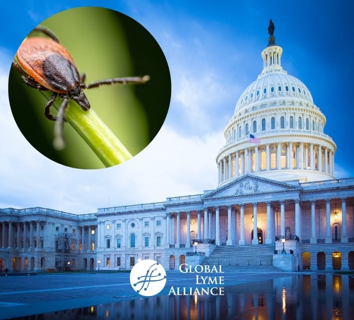 The Kay Hagan Tick&nbsp;Reauthorization Act Just Passed the House- Here Is What It Would Fund