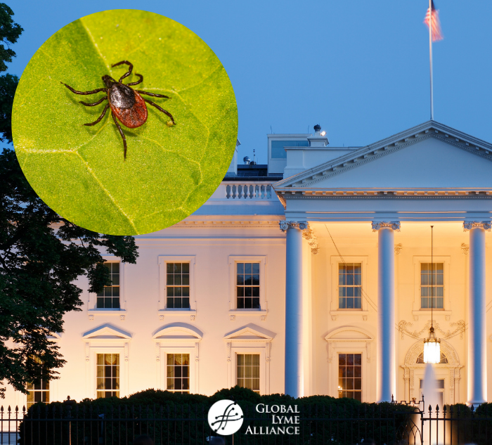New Federal Lyme Disease Legislation: Explained