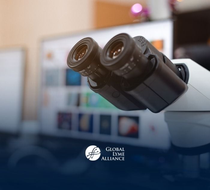 <span id="hs_cos_wrapper_name" class="hs_cos_wrapper hs_cos_wrapper_meta_field hs_cos_wrapper_type_text" style="" data-hs-cos-general-type="meta_field" data-hs-cos-type="text" >Global&nbsp;Lyme Alliance Announces&nbsp;Six&nbsp;New Research Grants to&nbsp;Transform the Future of Lyme Disease Diagnosis and Treatment</span>