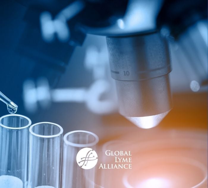 Global Lyme Alliance Opens 2026 Funding Cycle with Research Grant and New Early Career Research Grant